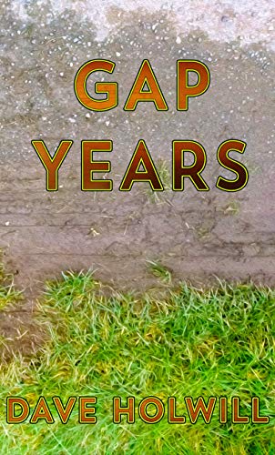 gap years